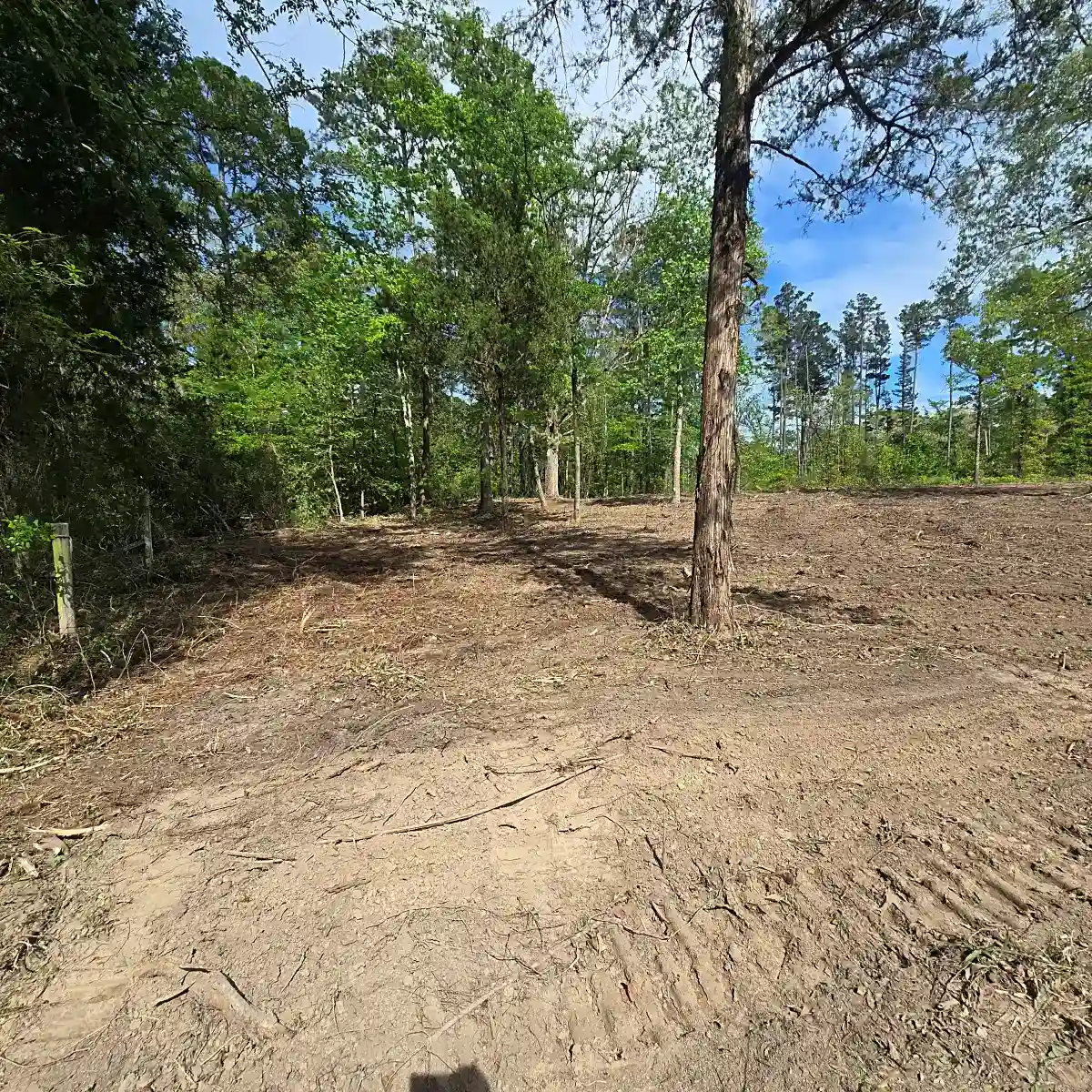 Heavy brush and trees being cleared on a Mineola, TX property