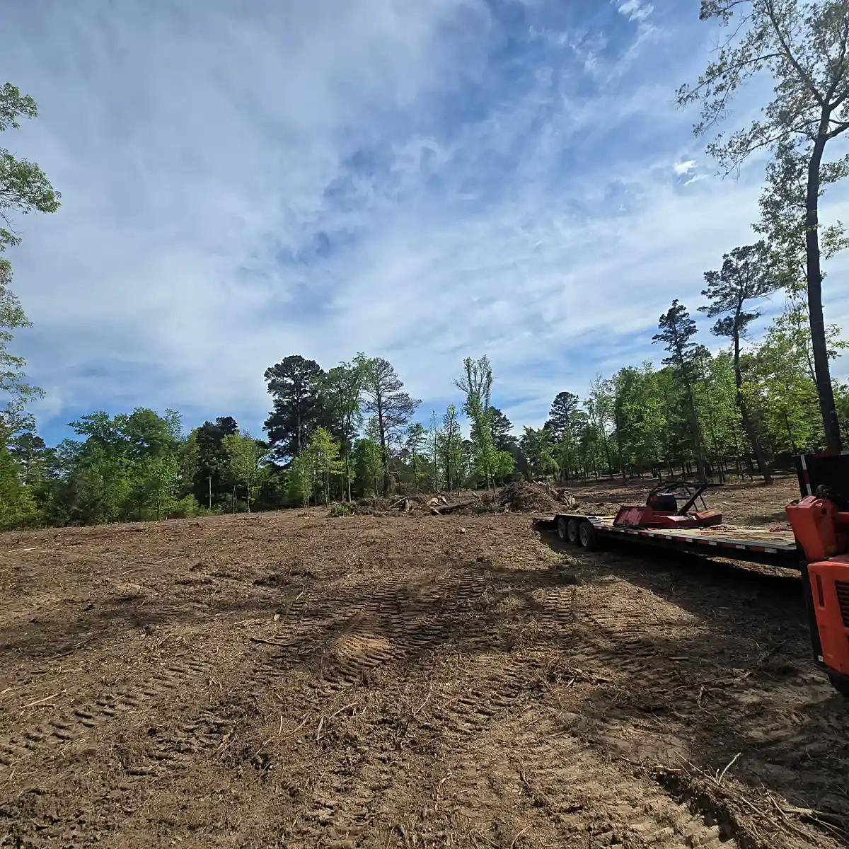 Excavator removing trees and underbrush during land clearing in Mineola, TX