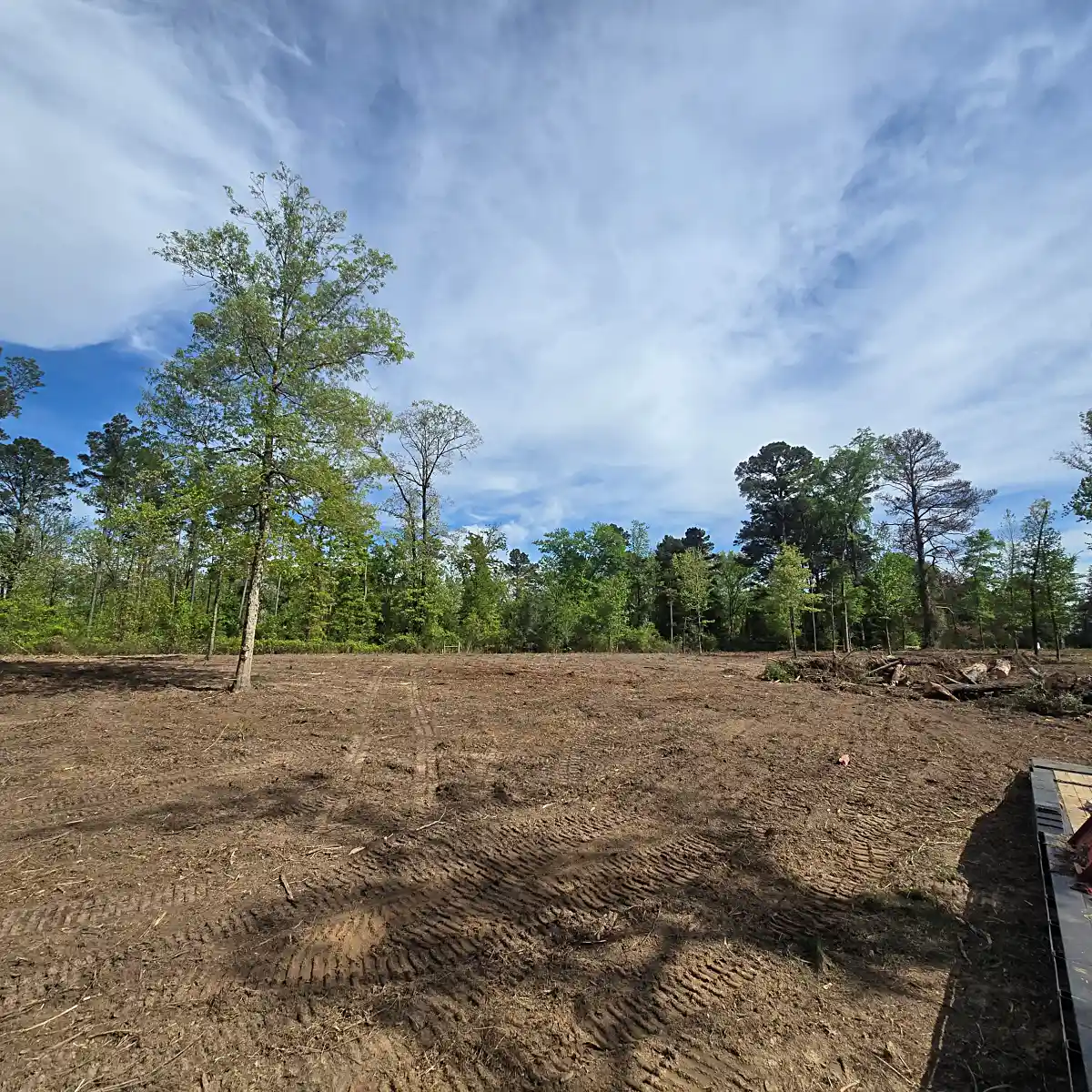 Dense overgrowth and timber cleared from East Texas land in Mineola
