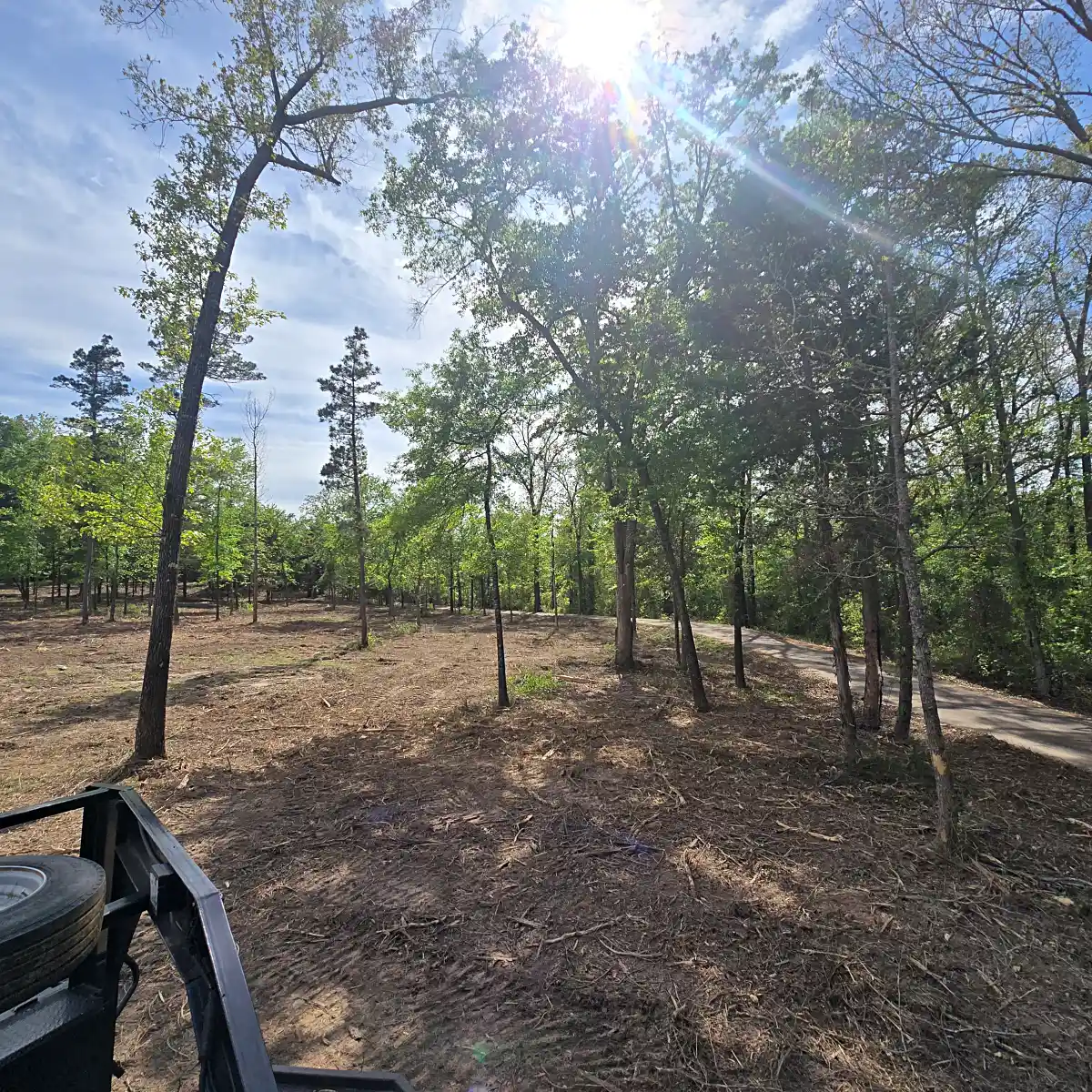 Tree and brush removal in progress on a Mineola, TX clearing job