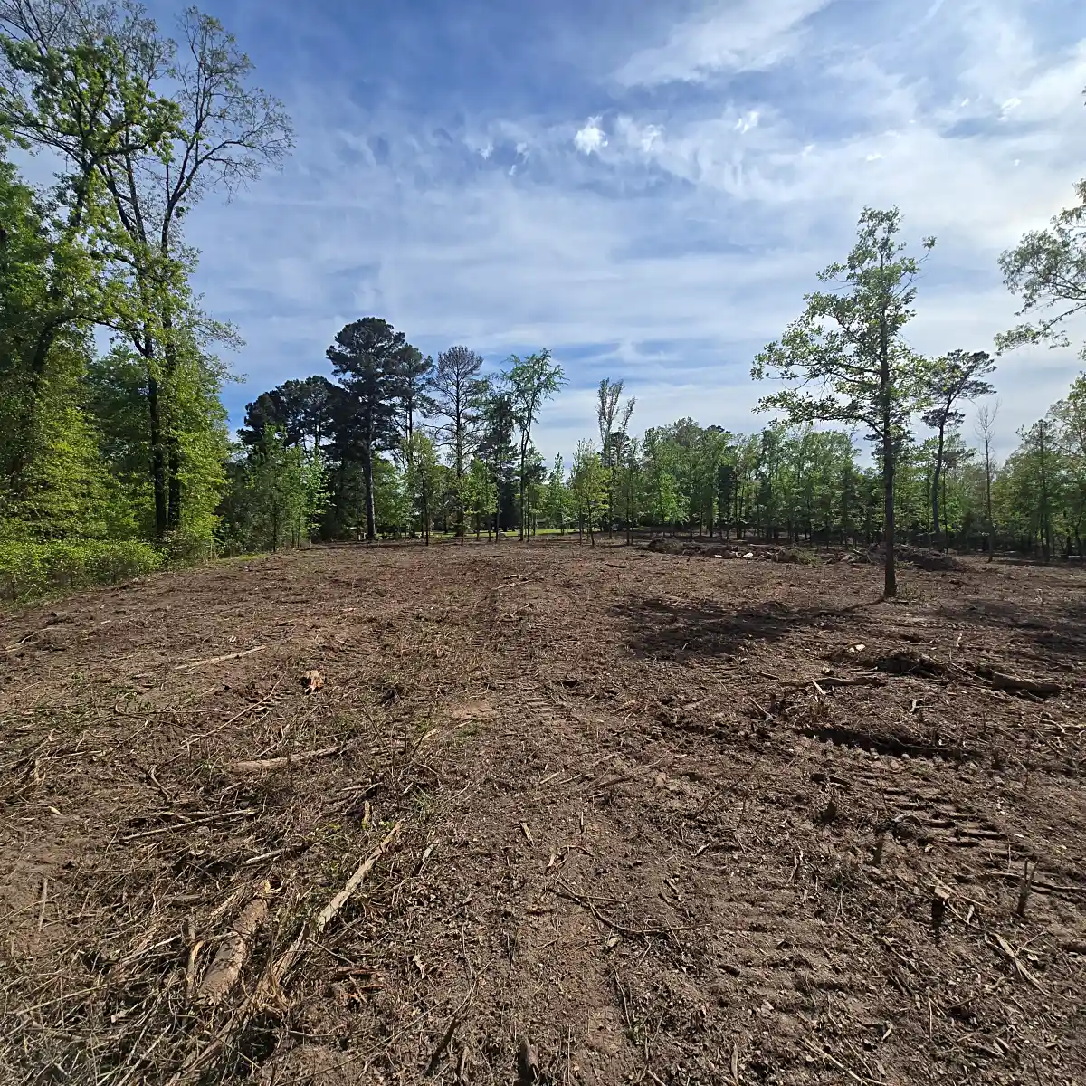 Cut trees and brush stacked for haul-off during land clearing in Mineola, TX