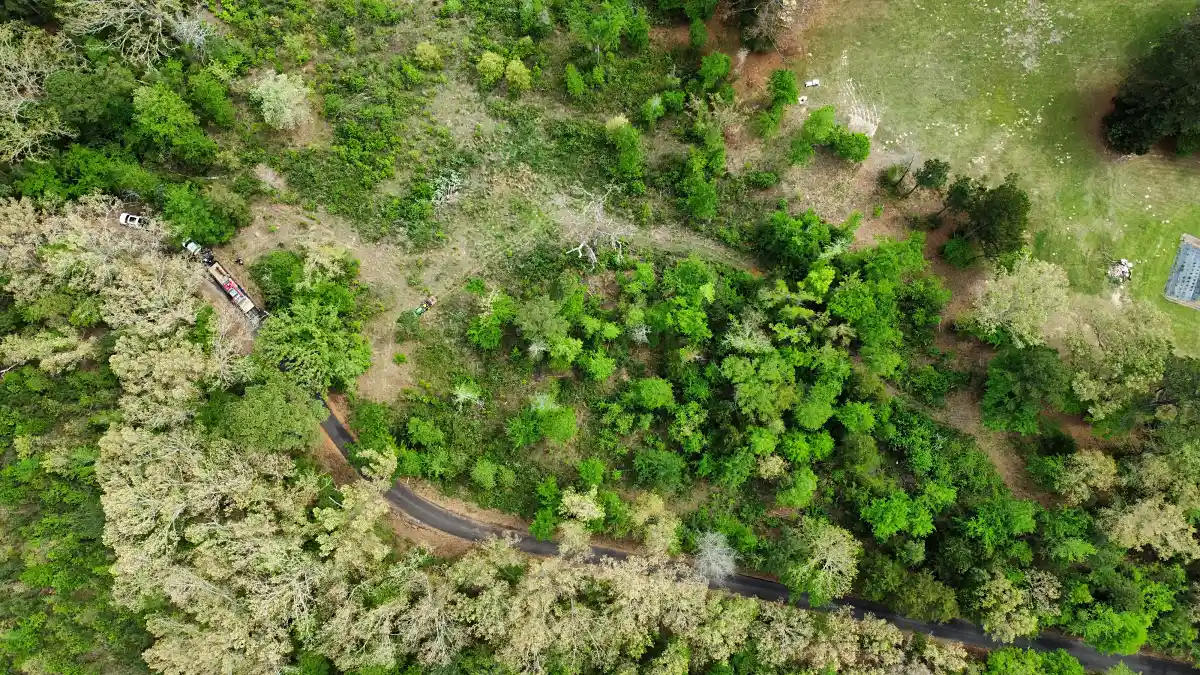 Drone view of land clearing progress on a wooded Mineola, TX lot