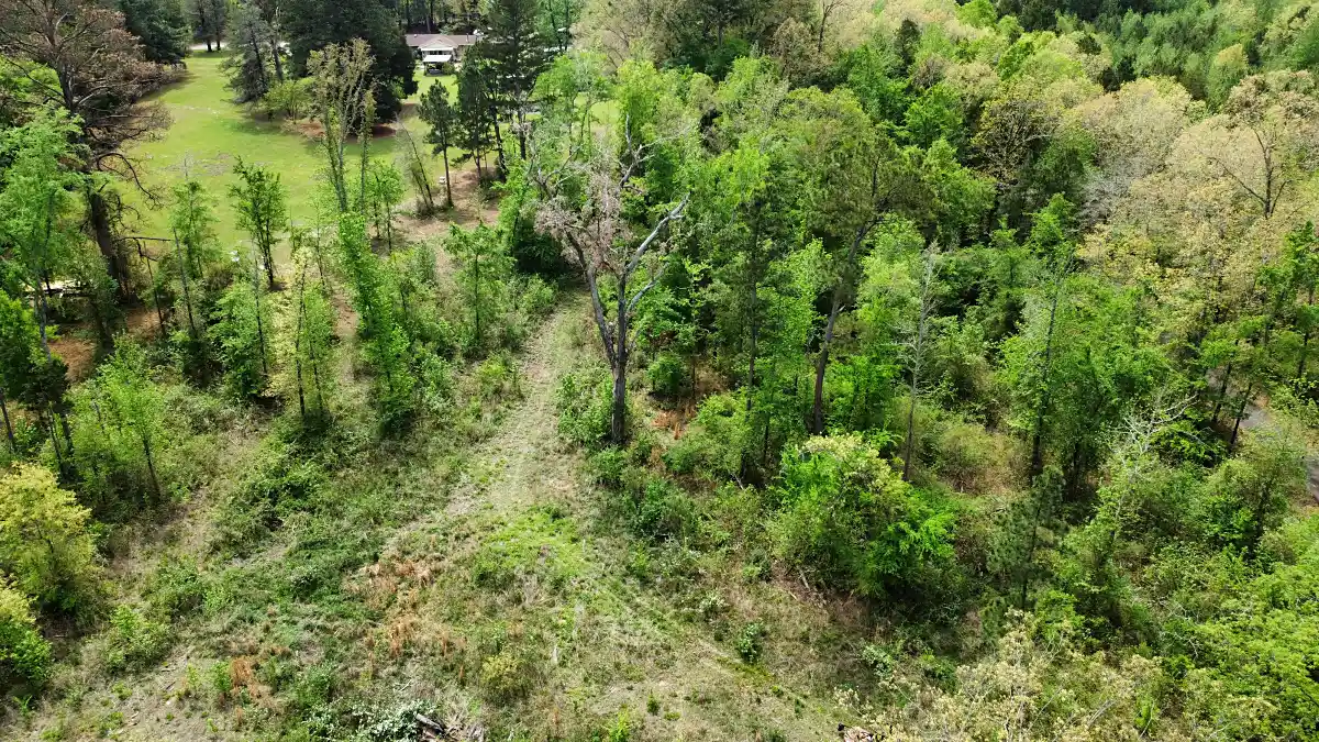 Aerial overview of tree and brush removal on a Mineola, TX property