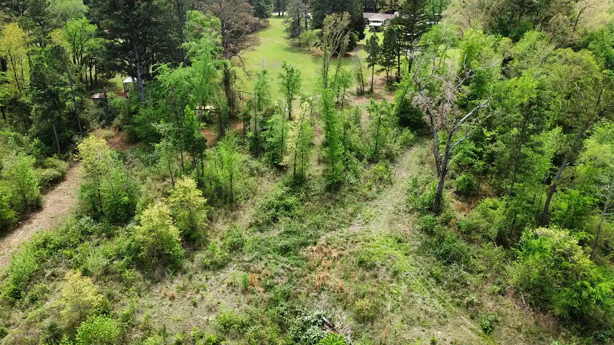 Top-down drone shot of cleared and uncleared land in Mineola, TX