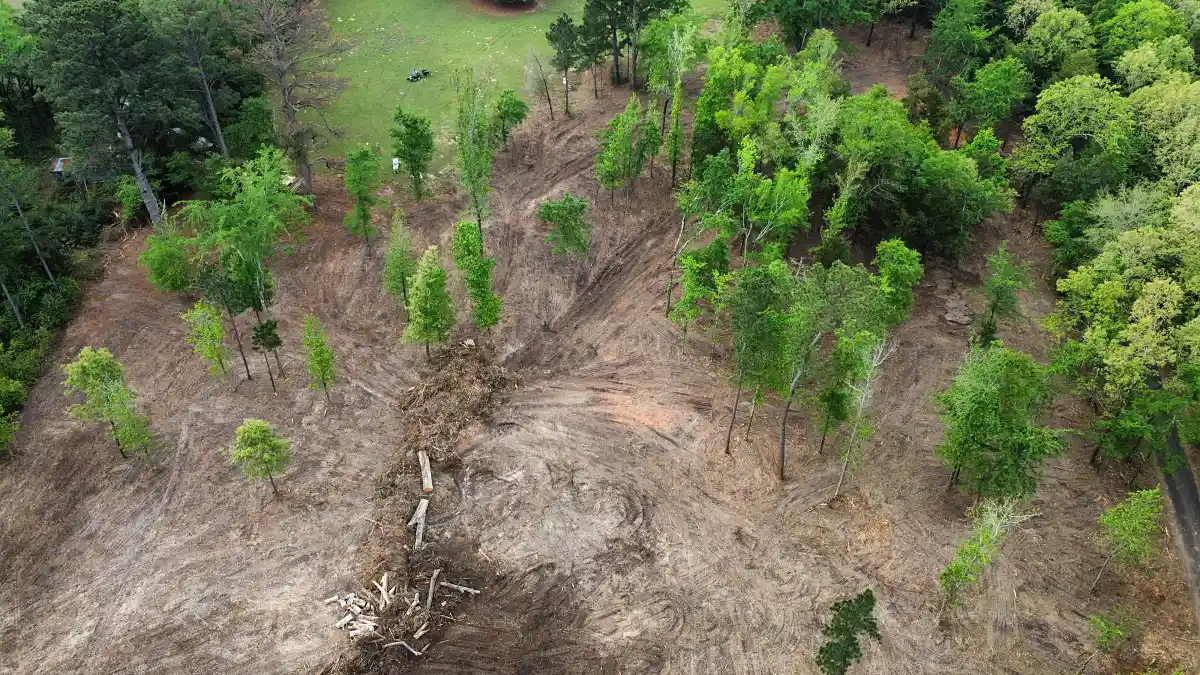Aerial view of finished land clearing leaving a clean Mineola, TX property
