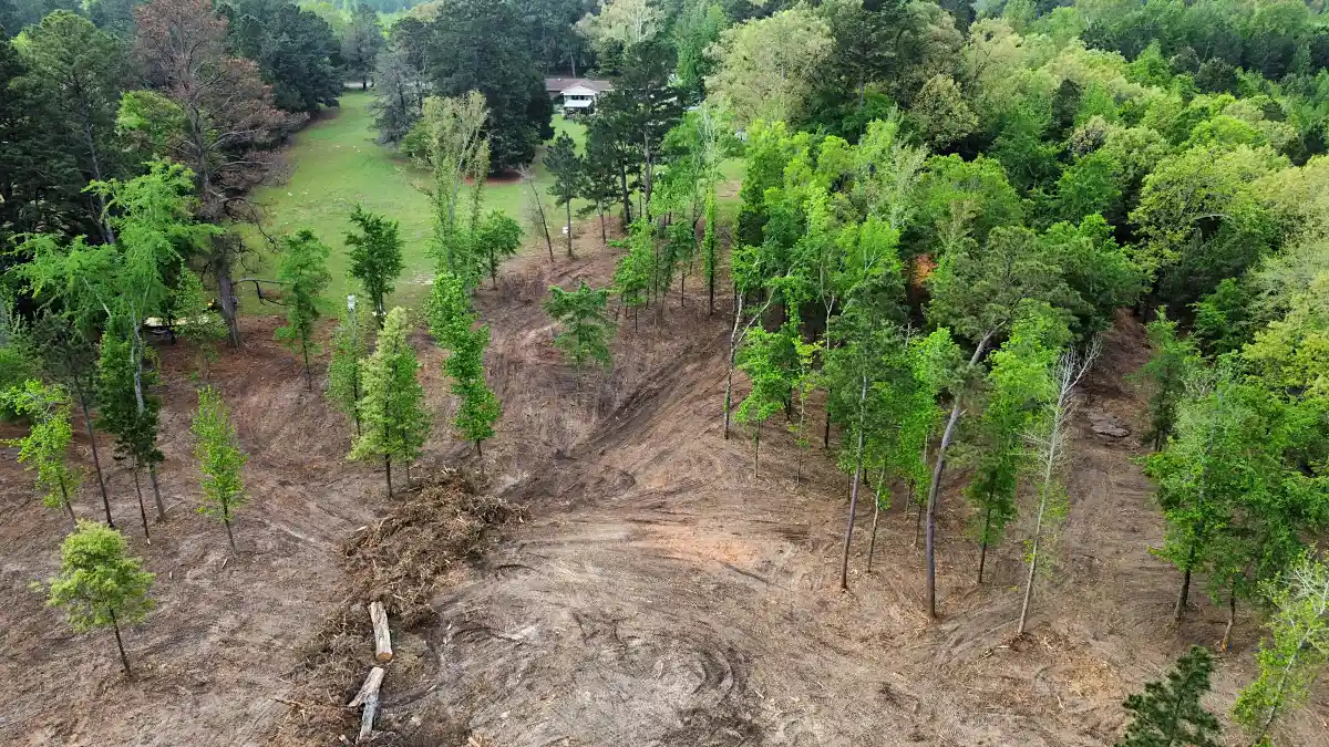 Completed tree and brush removal shown from above in Mineola, TX